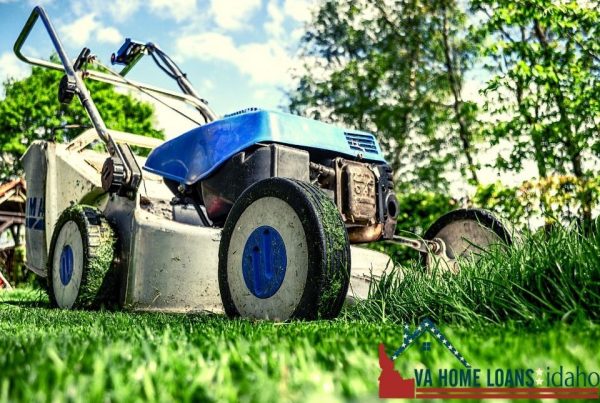 Blue lawn mower mowing grass